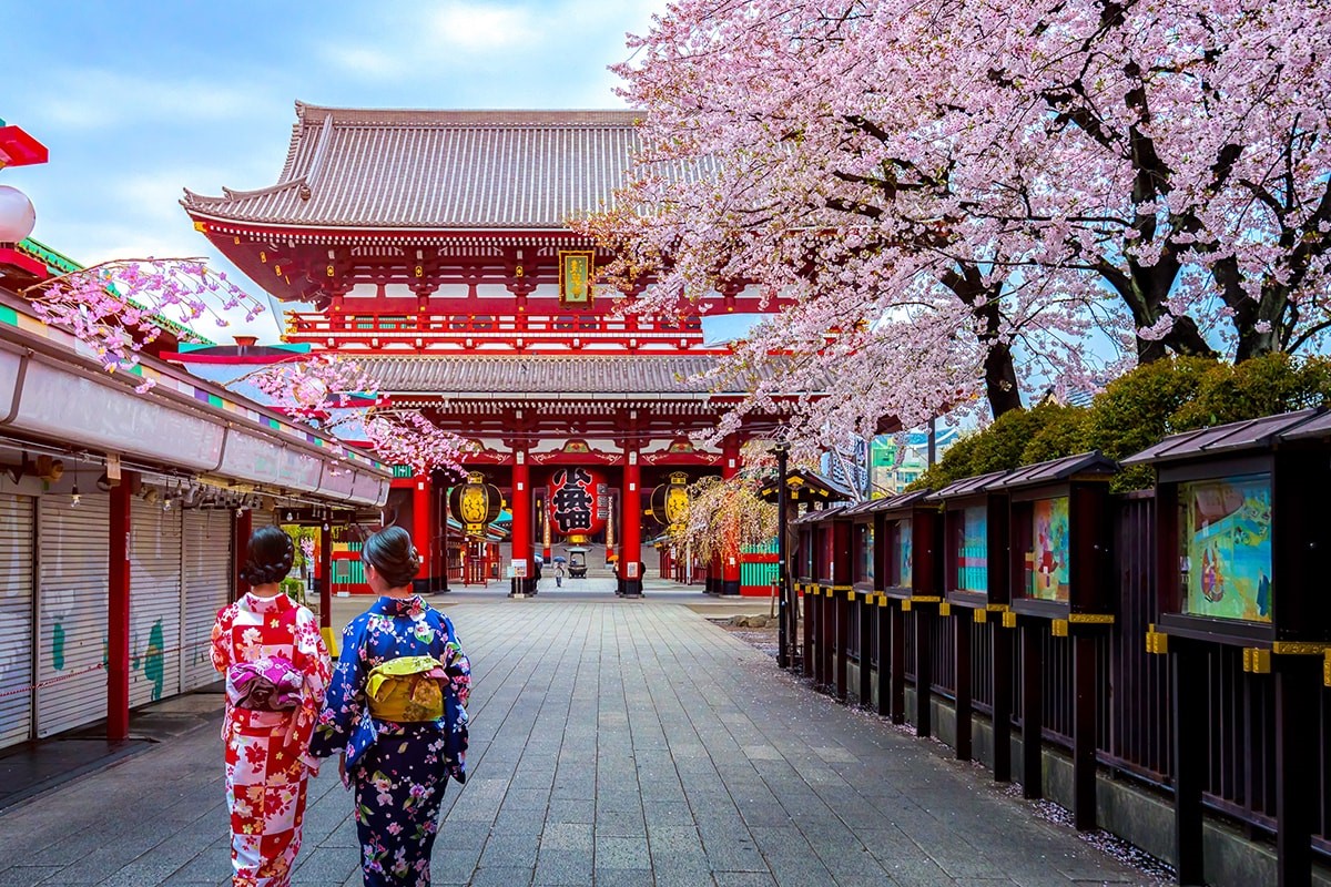 Japón  9 mejores destinos para viajeros solitarios |  bayas de cerebro