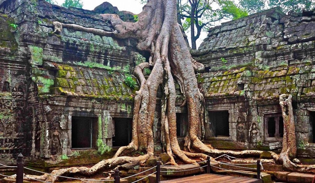 Templo de Ta Prohm, Camboya |  12 lugares para tomar fotografías más populares |  bayas de cerebro