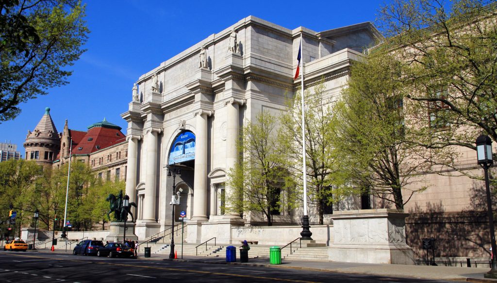 Museo Americano de Historia Natural (Nueva York) |:  6 mejores museos de historia natural del mundo |  bayas de cerebro