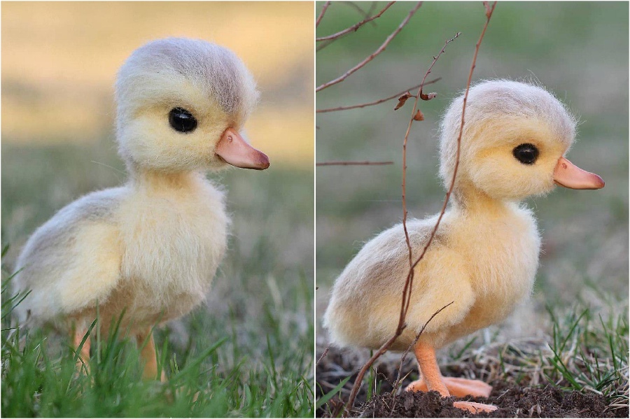 Patito |:  Animales de fieltro súper realistas y extra lindos del artista ruso.  bayas de cerebro
