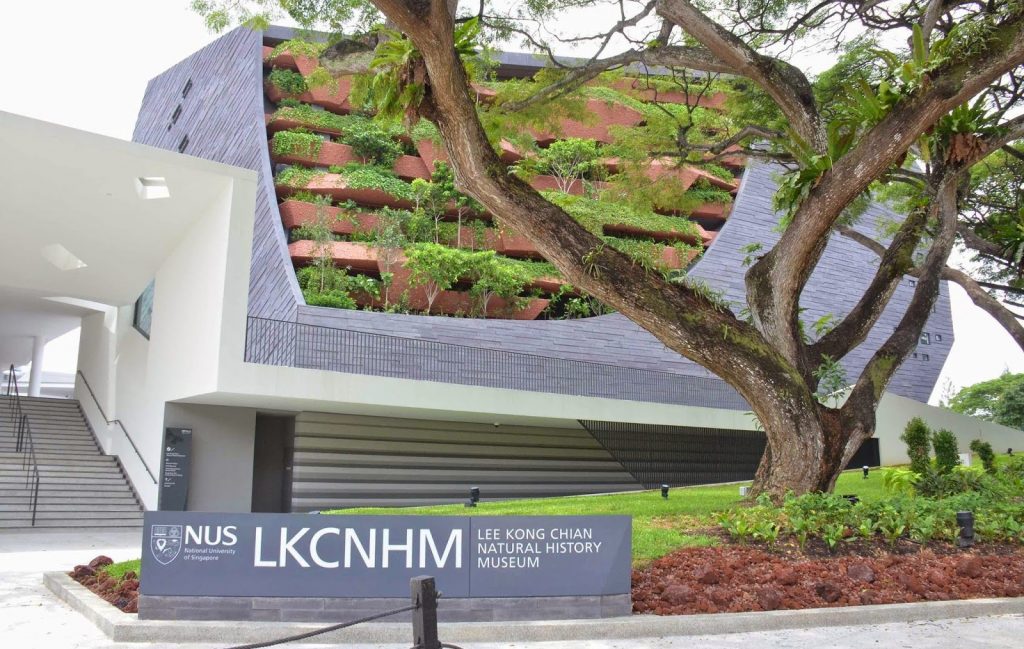 Museo de Historia Natural Lee Kong Chian (Singapur) |:  6 mejores museos de historia natural del mundo |  bayas de cerebro