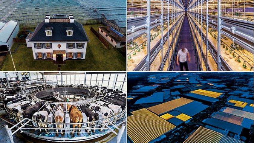 Países Bajos |:  12 países tecnológicamente más avanzados en la actualidad  bayas de cerebro