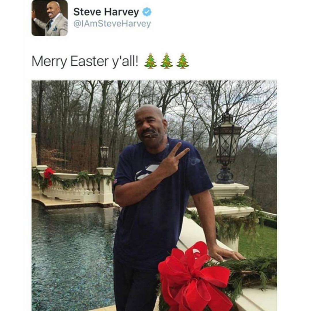 Steve Harvey |  7 celebridades que estaban listas para reírse de sí mismas |  CerebroBerry: