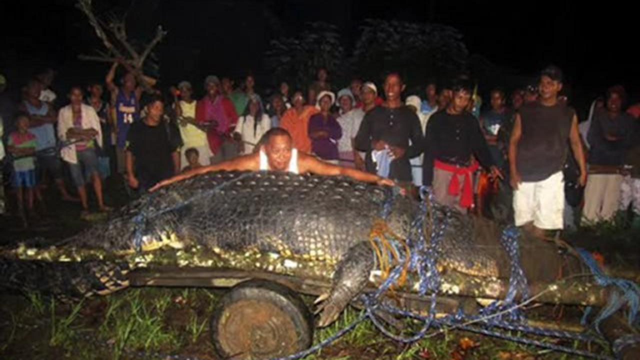 Increíble_animals_you_can_find_only_in_the_philippines_07