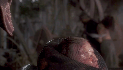 Top-10-Horror-Movie-Animal-04
