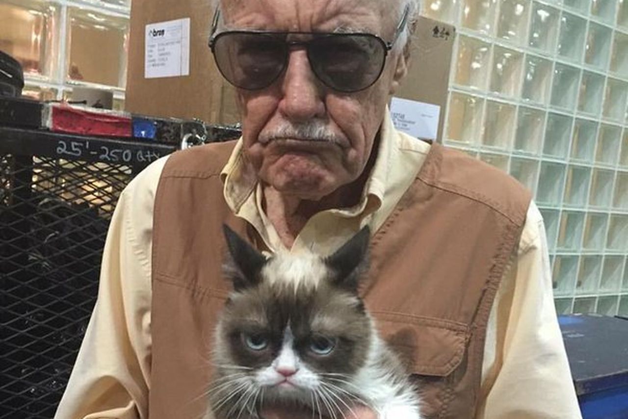 Grumpy Cat 4:
