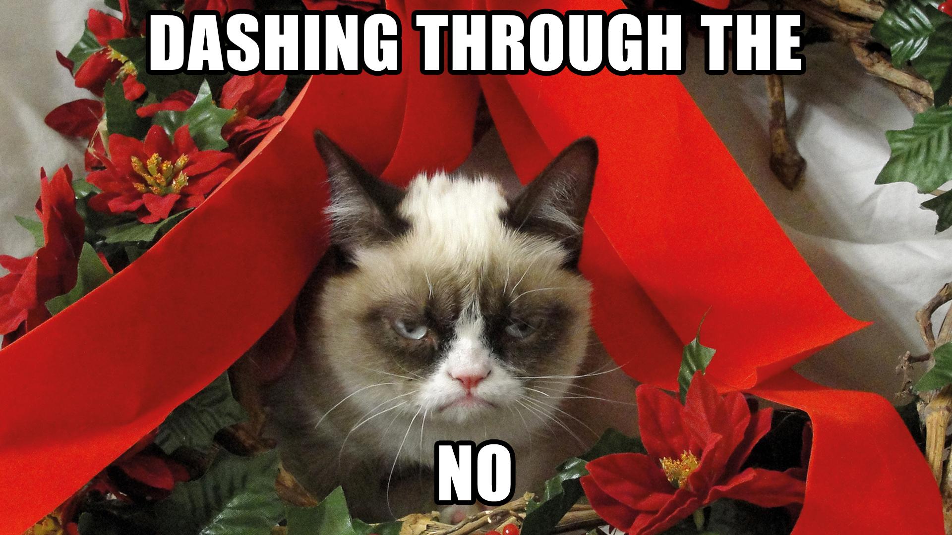Grumpy Cat 6: