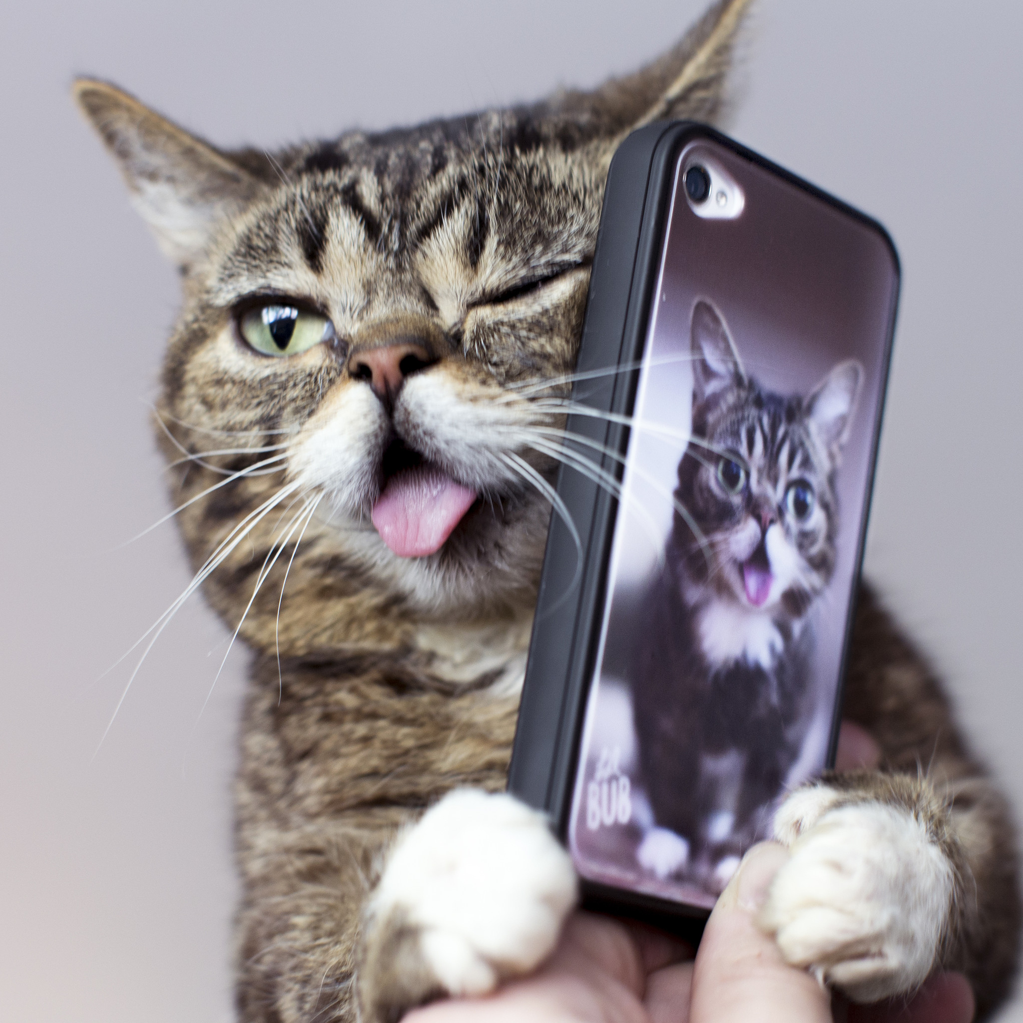 Lil bub 2: