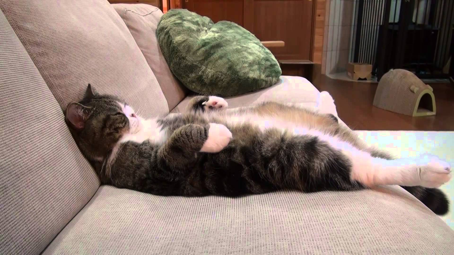 Maru 3: