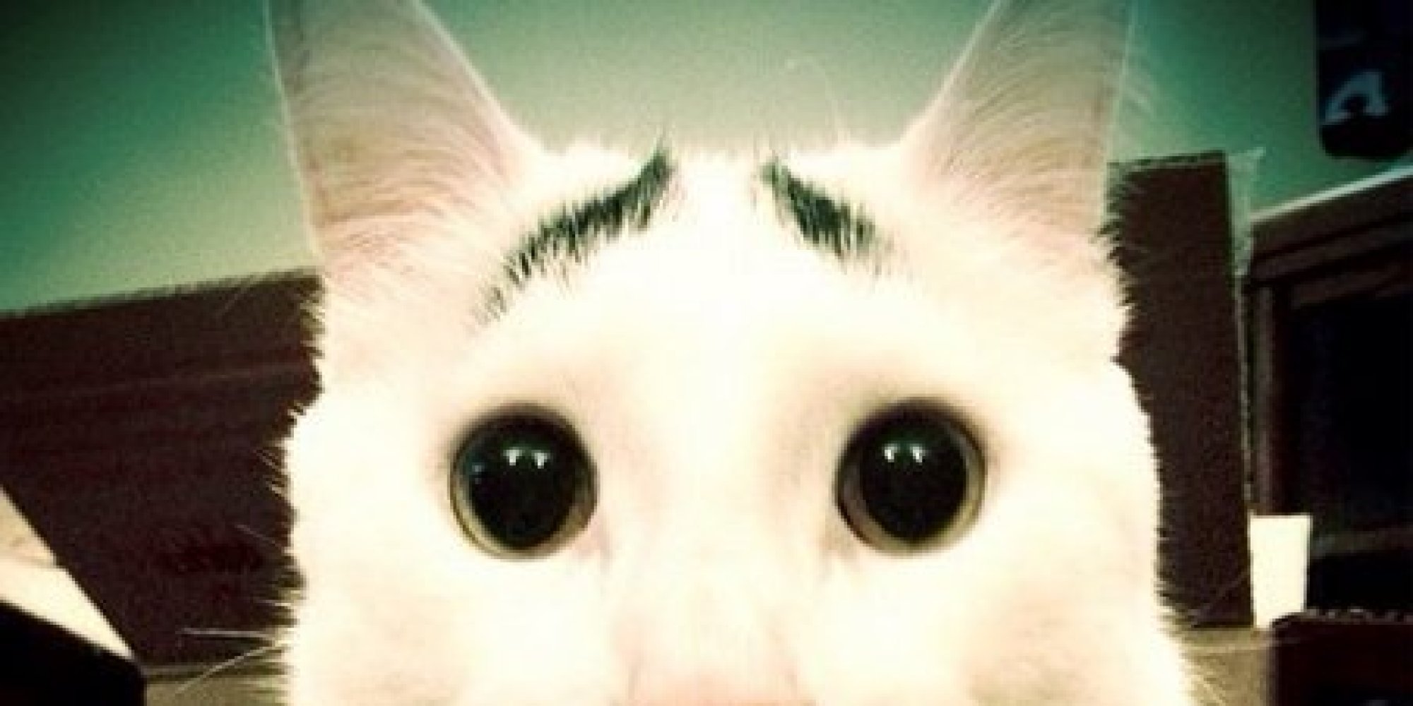 Sam 3: