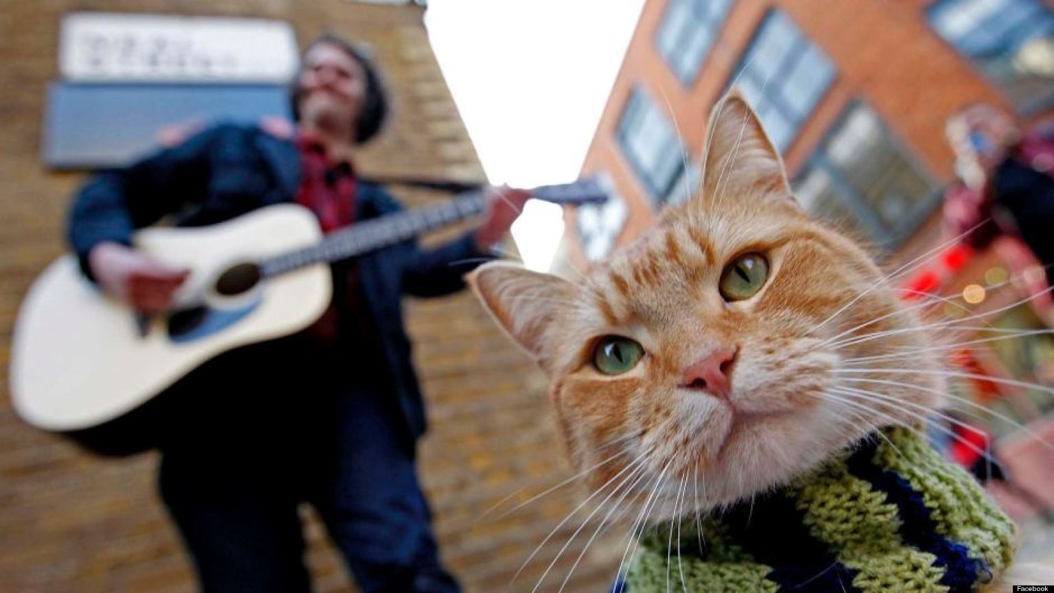 Street Cat Bob 1: