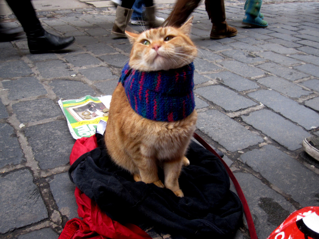 Street Cat Bob 4: