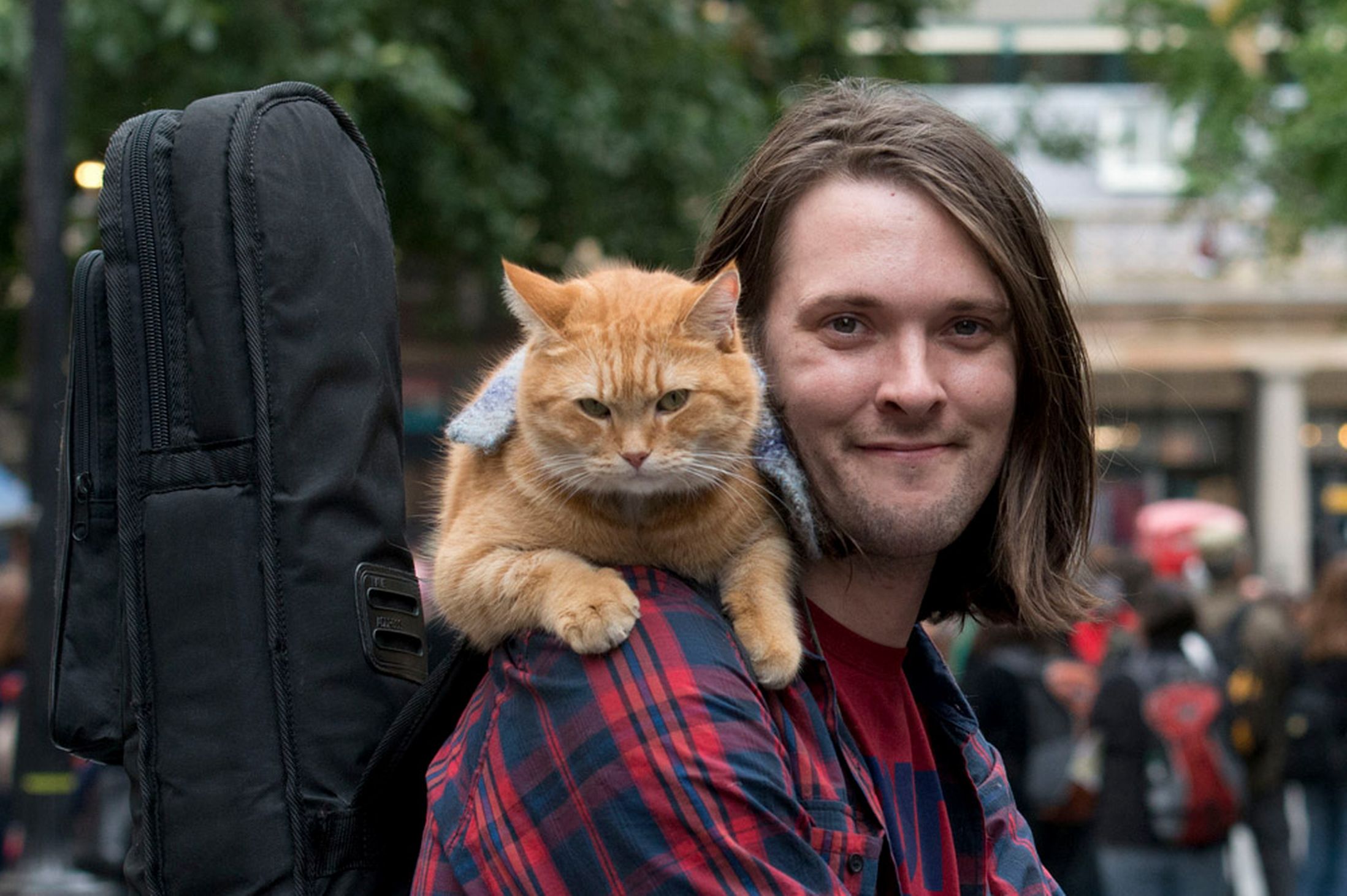 Street Cat Bob 5: