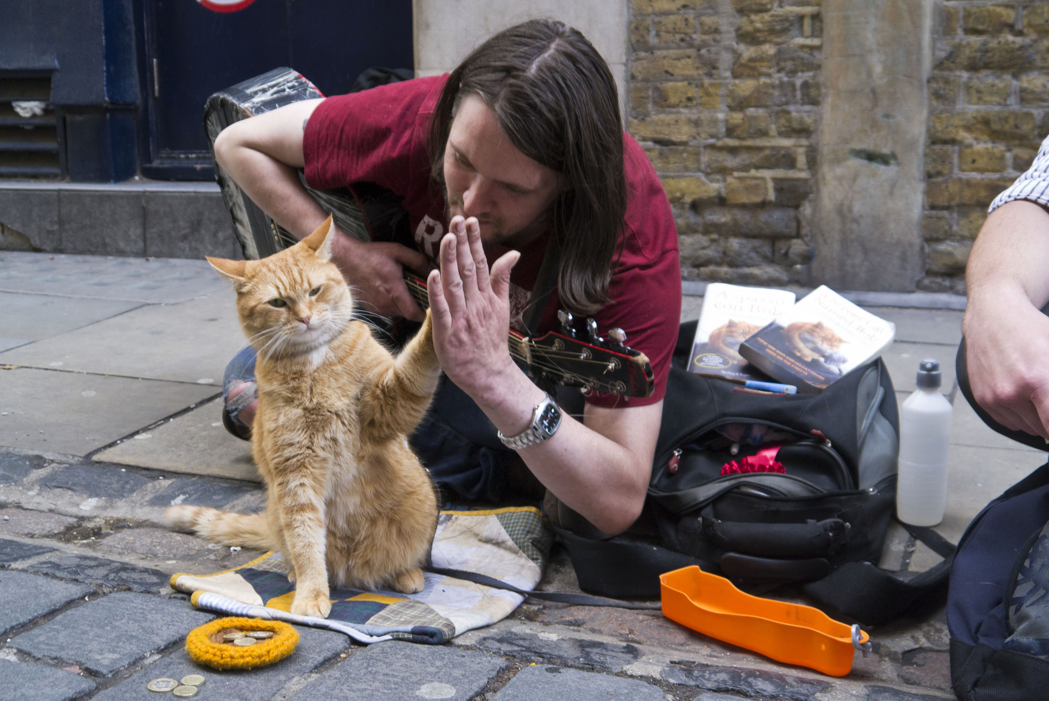 Street Cat Bob 6: