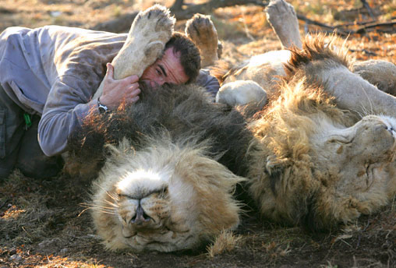 Amazing_friendship_stories_03