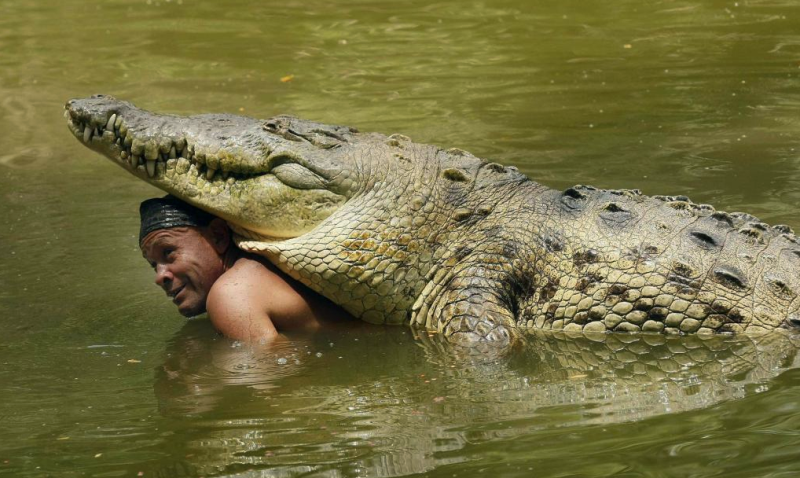 Amazing_friendship_stories_16