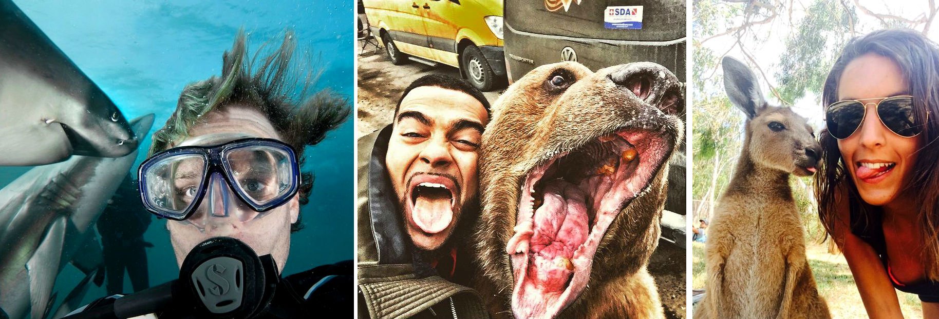 Fotografiar con animales salvajes es una nueva tendencia 1