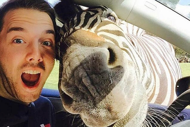 Fotografiar con animales salvajes es la nueva Tendencia 10