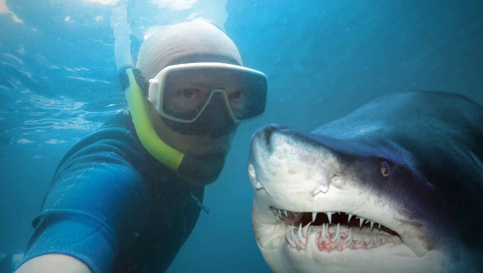 Fotografiar con animales salvajes es la duodécima tendencia de la nueva tendencia.