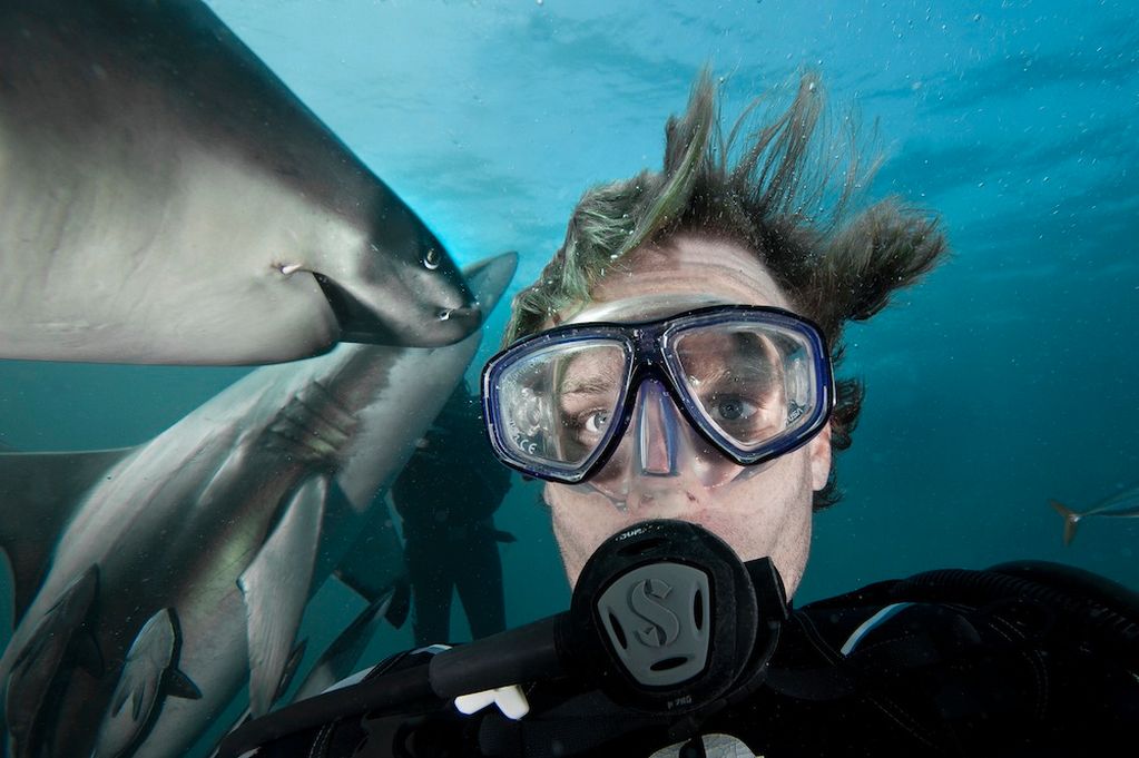 Fotografiar con animales salvajes es una nueva tendencia 13