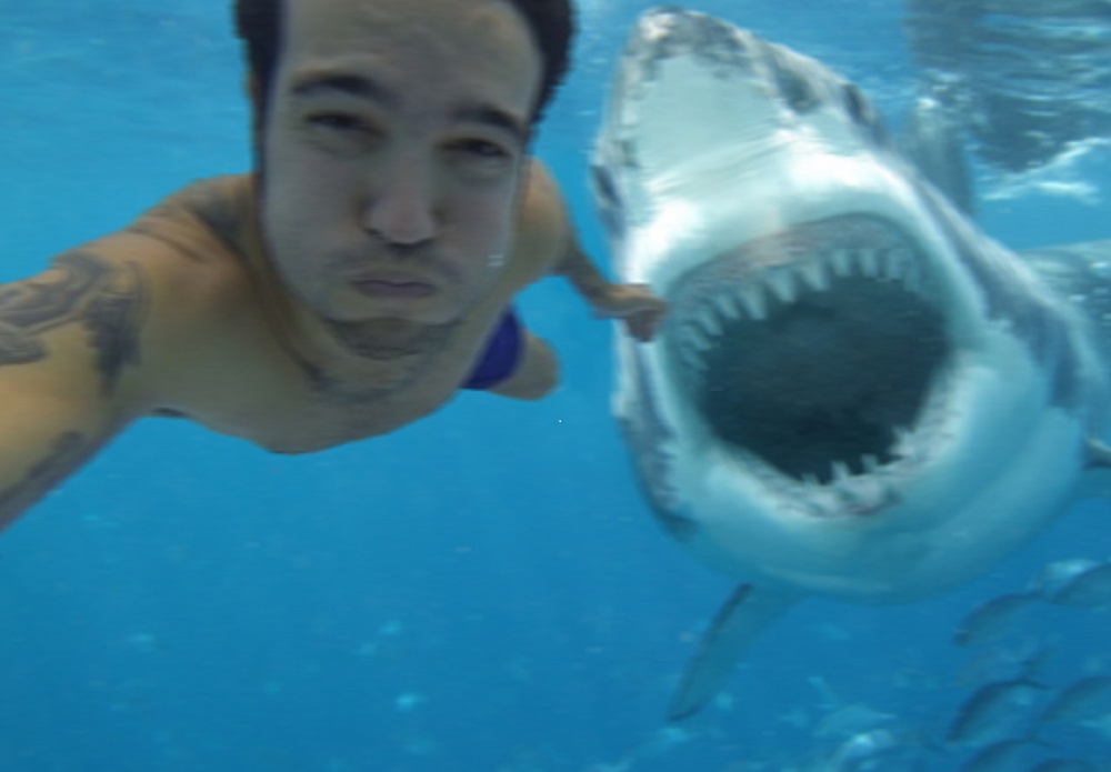 Fotografiar con animales salvajes es la nueva Tendencia 14