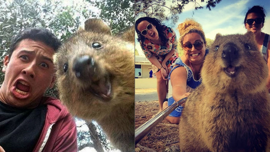 Fotografiar con animales salvajes es la nueva TENDENCIA 15
