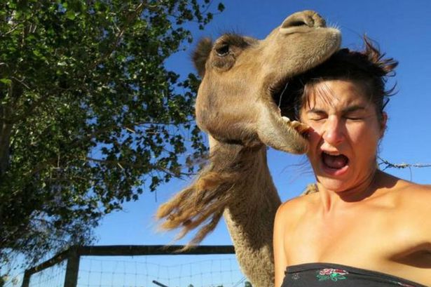 Fotografiar con animales salvajes es una nueva tendencia