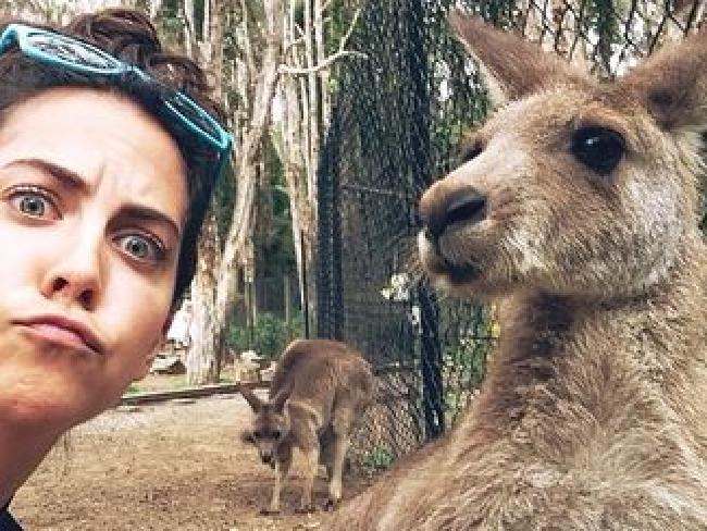 Fotografiar con animales salvajes es una nueva tendencia 25