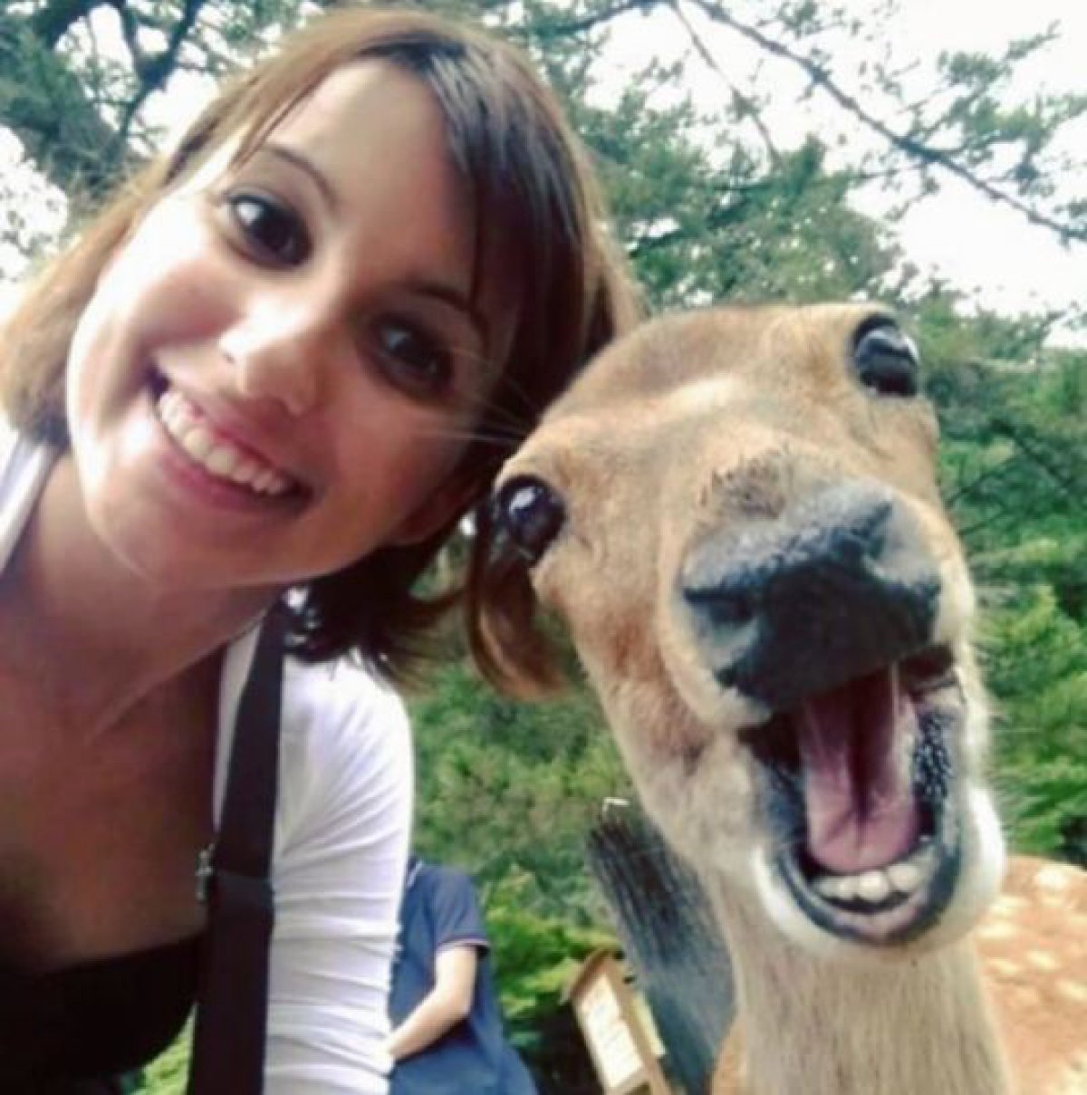 Fotografiar con animales salvajes es la nueva TENDENCIA 4