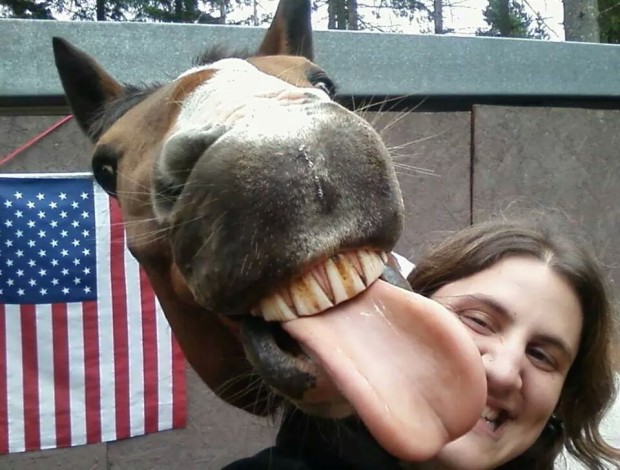 Fotografiar con animales salvajes es una nueva tendencia 5