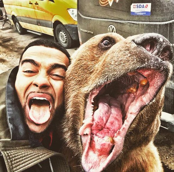 Fotografiar con animales salvajes es la sexta de la nueva tendencia