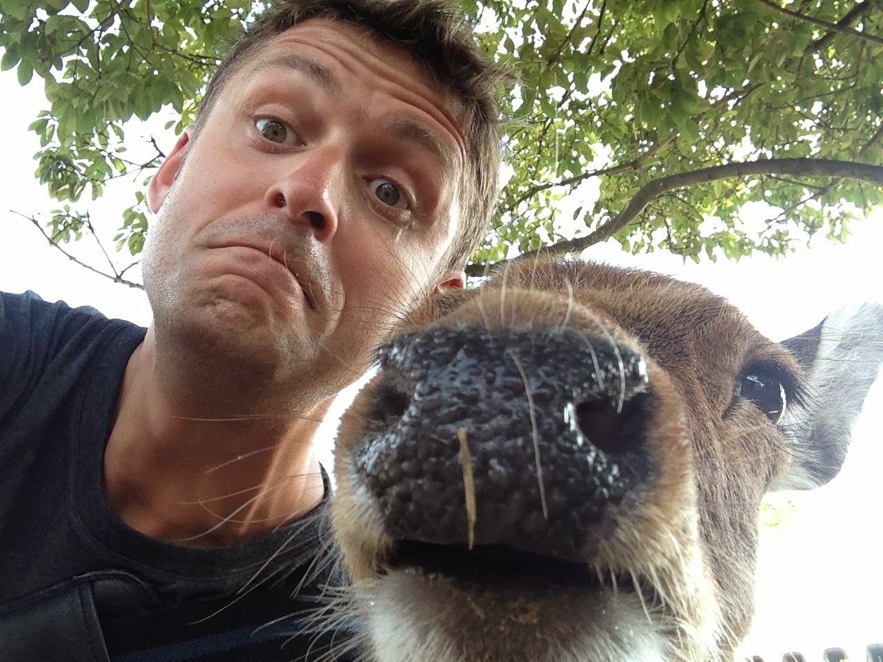 Fotografiar con animales salvajes es una nueva tendencia 8