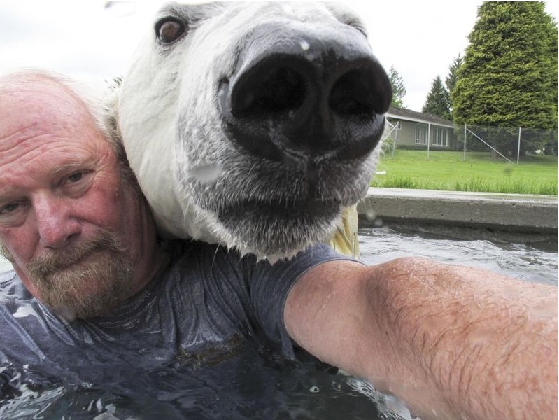 Tomar selfies: