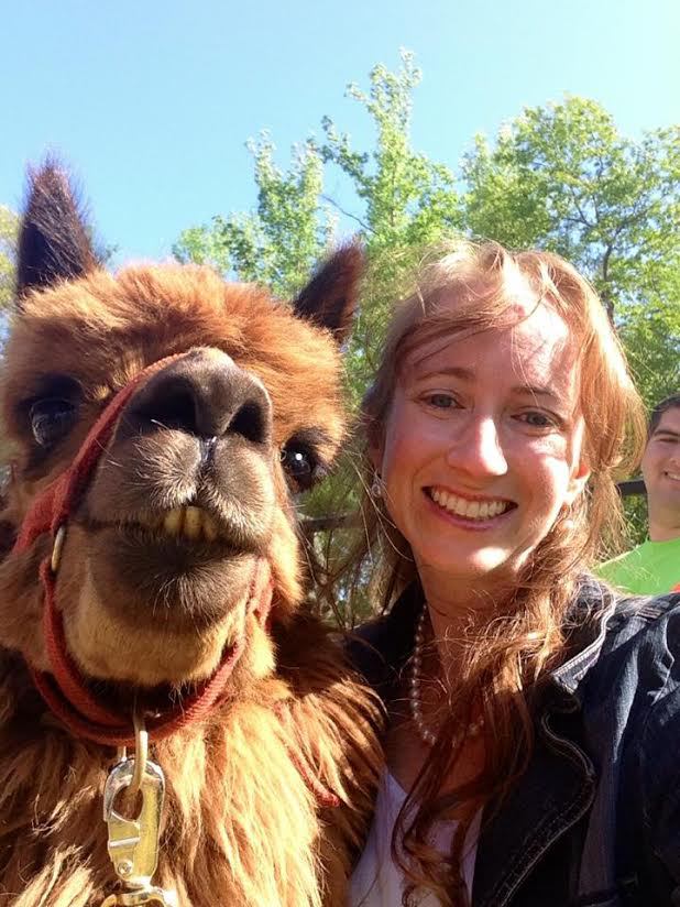 selfie-alpaca